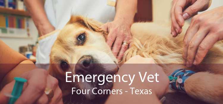 Emergency Vet Four Corners - Texas