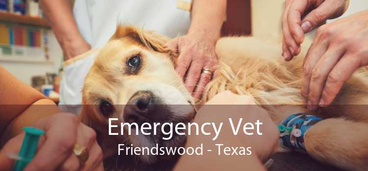 Emergency Vet Friendswood - Texas