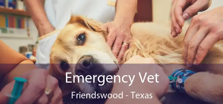 Emergency Vet Friendswood - Texas