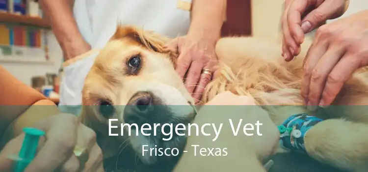 Emergency Vet Frisco - Texas