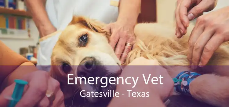 Emergency Vet Gatesville - Texas