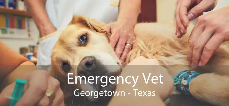 Emergency Vet Georgetown - Texas