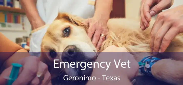 Emergency Vet Geronimo - Texas