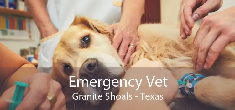 Emergency Vet Granite Shoals - Texas