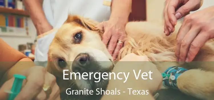 Emergency Vet Granite Shoals - Texas