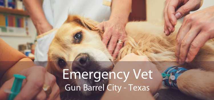 Emergency Vet Gun Barrel City - Texas