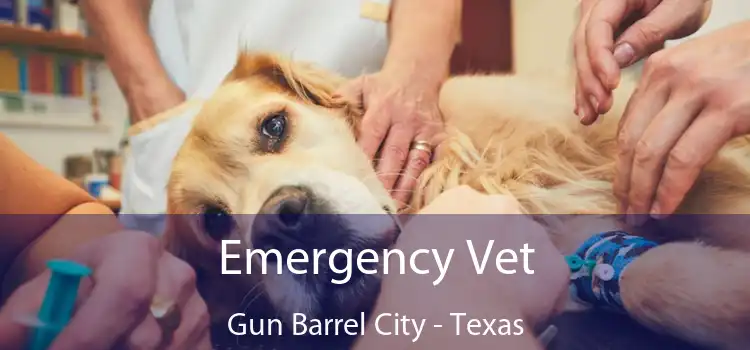 Emergency Vet Gun Barrel City - Texas