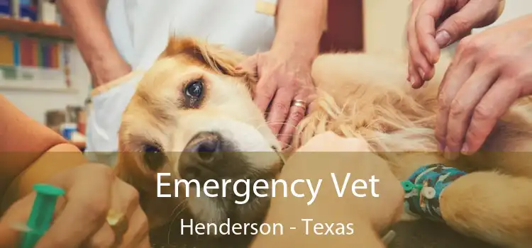 Emergency Vet Henderson - Texas