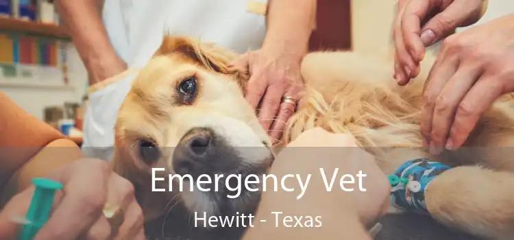 Emergency Vet Hewitt - Texas