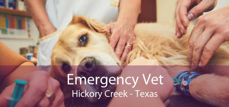 Emergency Vet Hickory Creek - Texas