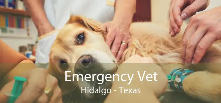 Emergency Vet Hidalgo - Texas