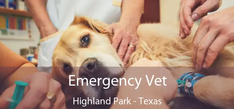 Emergency Vet Highland Park - Texas