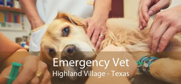 Emergency Vet Highland Village - Texas