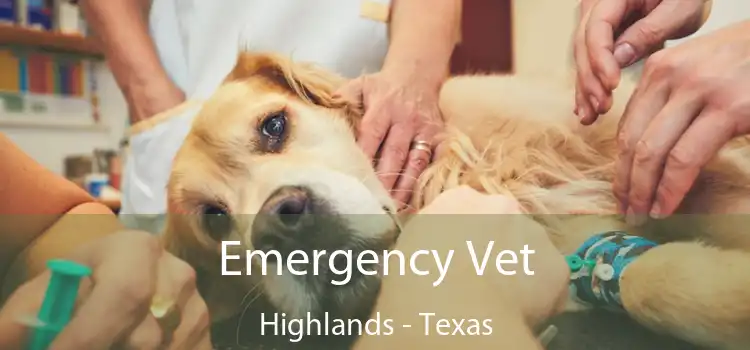 Emergency Vet Highlands - Texas