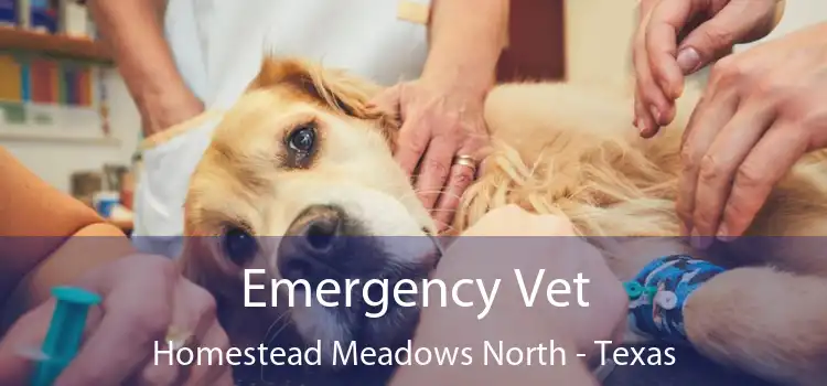 Emergency Vet Homestead Meadows North - Texas