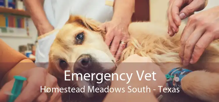 Emergency Vet Homestead Meadows South - Texas