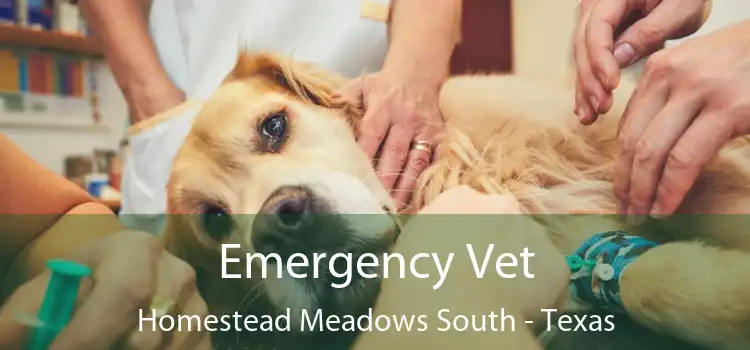 Emergency Vet Homestead Meadows South - Texas