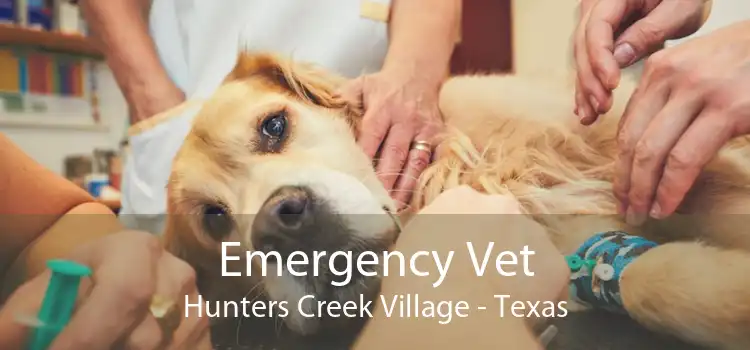 Emergency Vet Hunters Creek Village - Texas