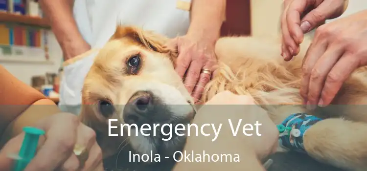 Emergency Vet Inola - Oklahoma