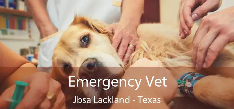 Emergency Vet Jbsa Lackland - Texas