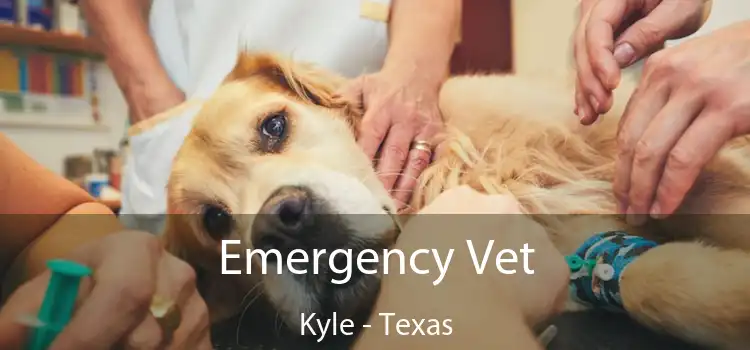 Emergency Vet Kyle - Texas