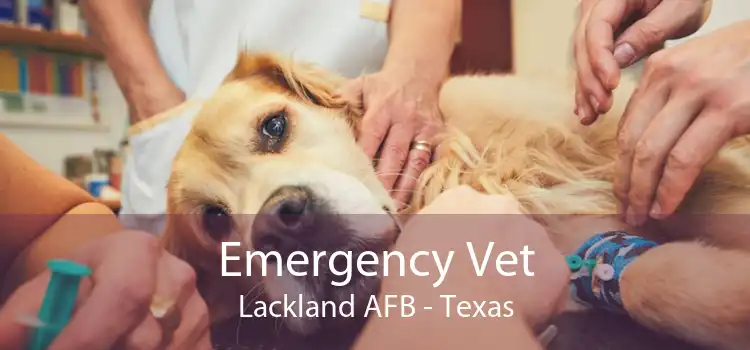 Emergency Vet Lackland AFB - Texas