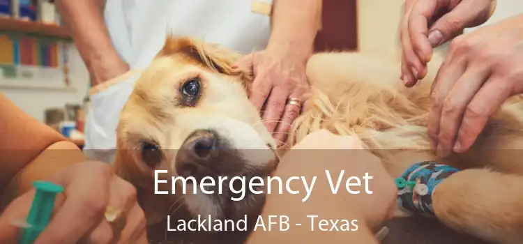 Emergency Vet Lackland AFB - Texas