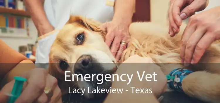 Emergency Vet Lacy Lakeview - Texas
