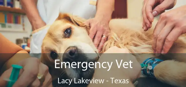 Emergency Vet Lacy Lakeview - Texas