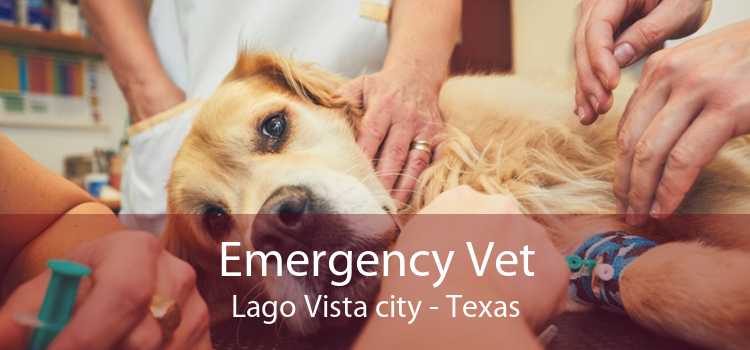 Emergency Vet Lago Vista city - Texas