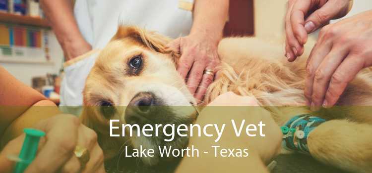 Emergency Vet Lake Worth - Texas