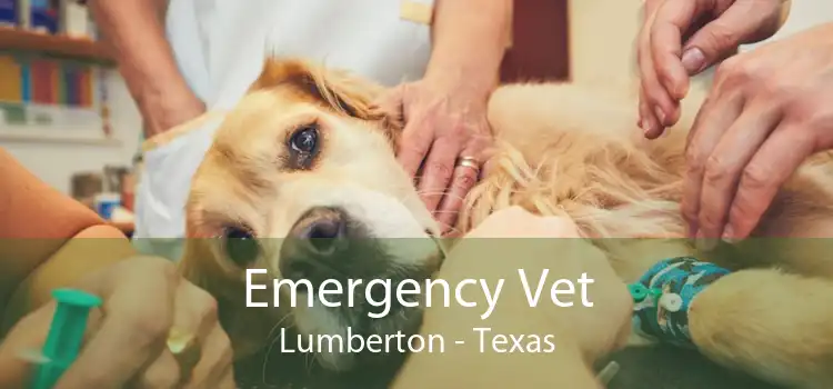 Emergency Vet Lumberton - Texas