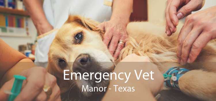 Emergency Vet Manor - Texas