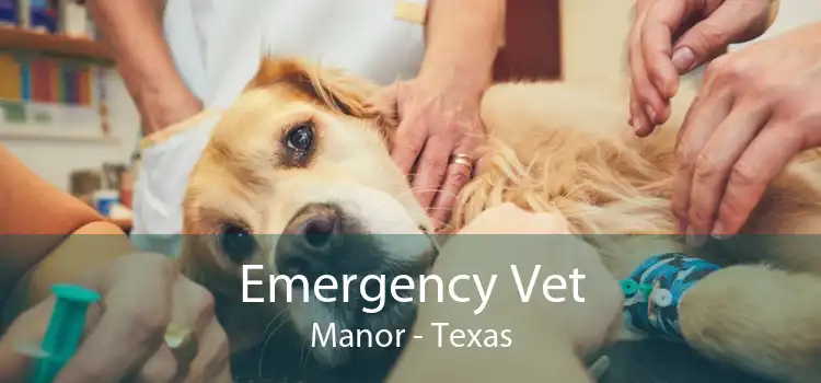Emergency Vet Manor - Texas