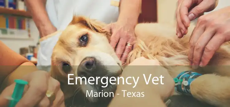 Emergency Vet Marion - Texas