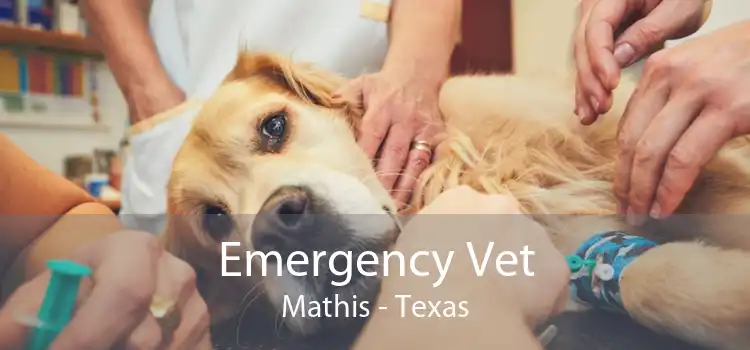 Emergency Vet Mathis - Texas