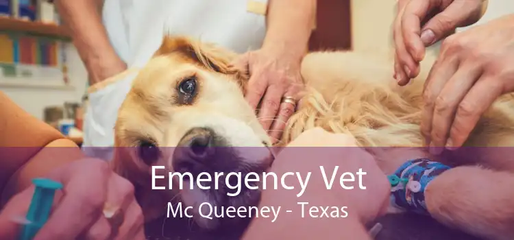 Emergency Vet Mc Queeney - Texas