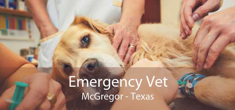 Emergency Vet McGregor - Texas