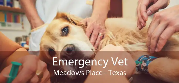 Emergency Vet Meadows Place - Texas