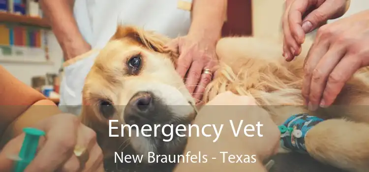 Emergency Vet New Braunfels - Texas