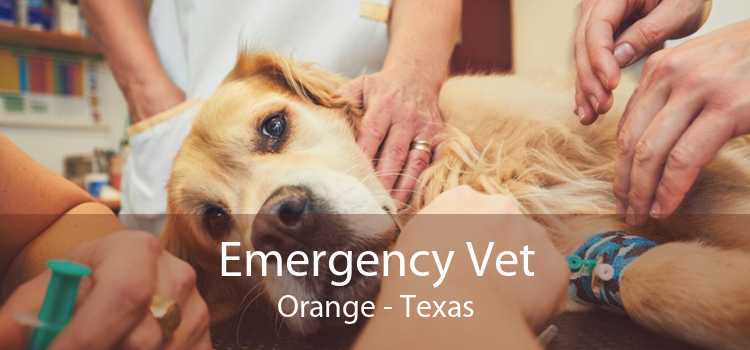 Emergency Vet Orange - Texas