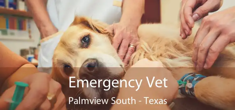 Emergency Vet Palmview South - Texas