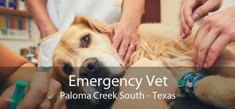Emergency Vet Paloma Creek South - Texas