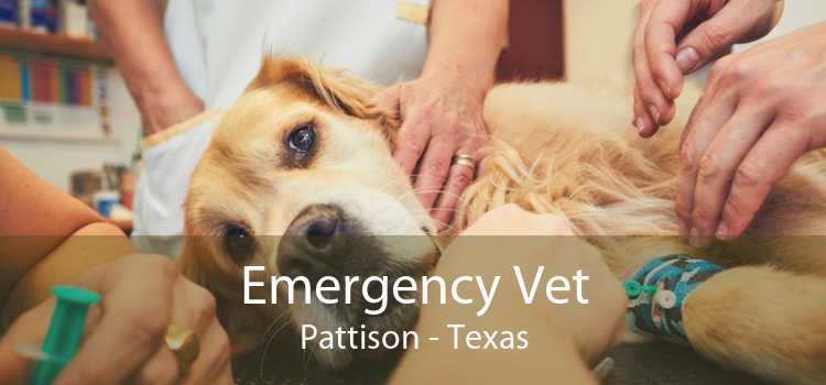 Emergency Vet Pattison - Texas