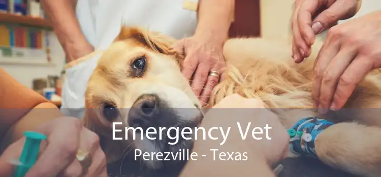 Emergency Vet Perezville - Texas