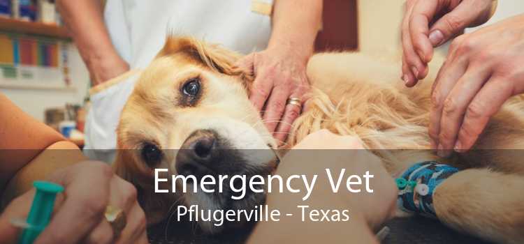 Emergency Vet Pflugerville - Texas