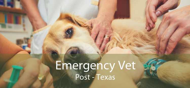 Emergency Vet Post - Texas