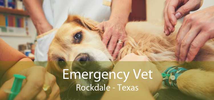 Emergency Vet Rockdale - Texas