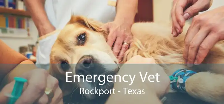 Emergency Vet Rockport - Texas