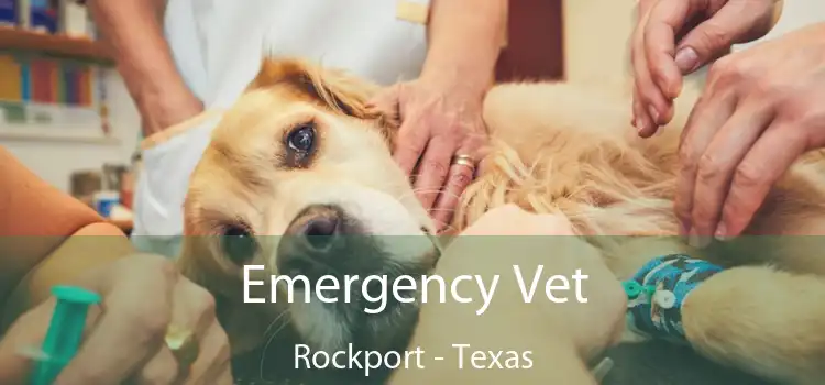 Emergency Vet Rockport - Texas